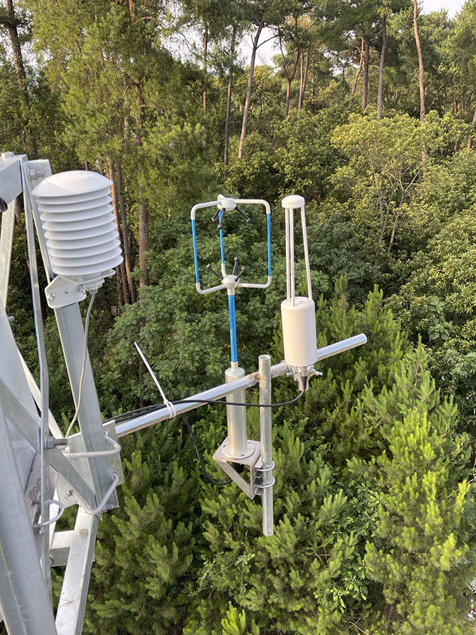 wodu900-2.jpg